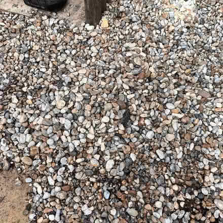 Photo of free Garden pebbles (Langney BN23) #2