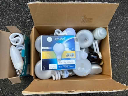 Photo of free Various Lightbulbs (Highland Park) #1