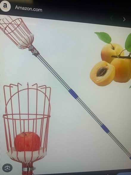 Photo of orange picker stick (West san jose) #1
