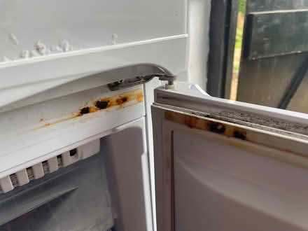 Photo of free Fridge / Freezer Hotpoint (Farnham GU9) #4