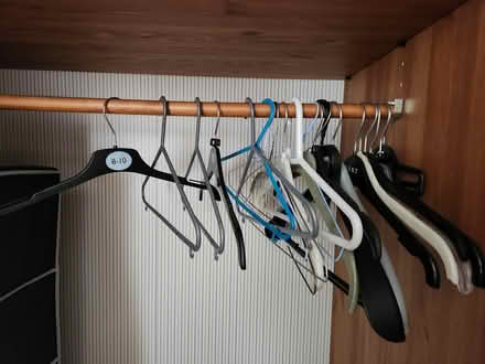Photo of free Bunch of clothes hangers (SE2) #1