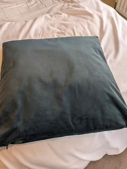 Photo of free Dunelm kingfisher cushion (Camberley GU15) #2