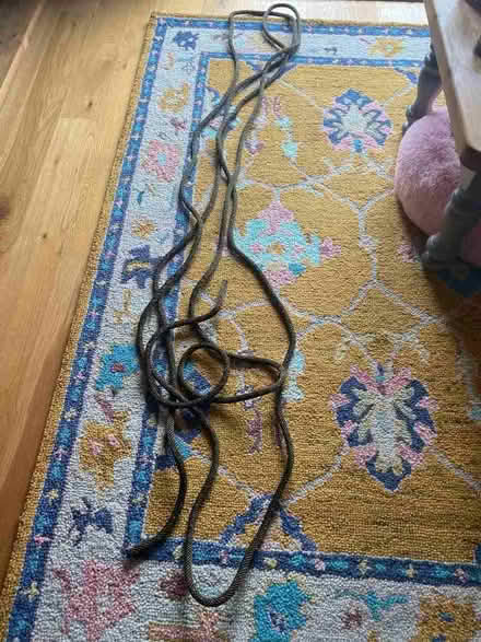 Photo of free Climbing rope (Berwick Grange SY1) #3