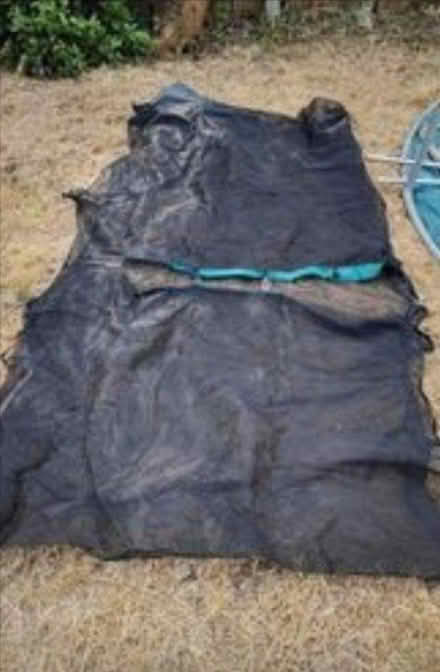 Photo of free 8ft Sky High Trampoline (DA16) #3
