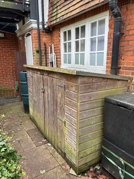 Photo of free Shed (Muswell Hill N10) #1