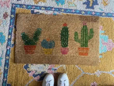 Photo of free Used coir cactus doormat (Berwick Grange SY1) #1