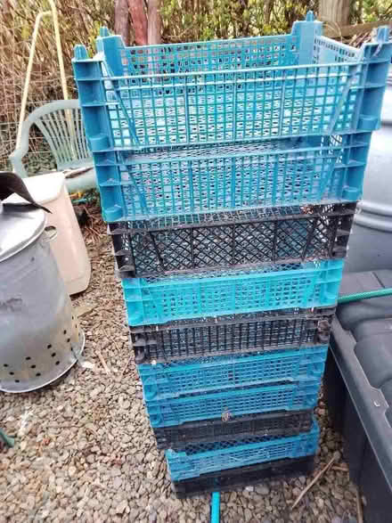 Photo of free Plastic mushroom trays (Orleton SY8) #1