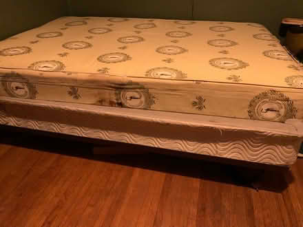 Photo of free Box springs (Norseland) #1