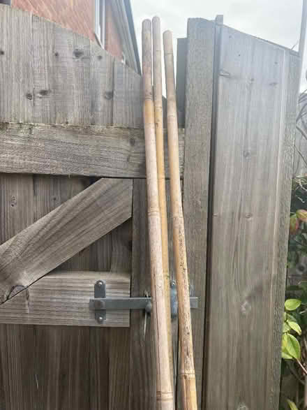 Photo of free 3 tall garden stakes plant support (Berwick Grange SY1) #3