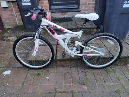 Photo of free Girl's Barracuda 24" Bicycle (Heelands MK13) #1