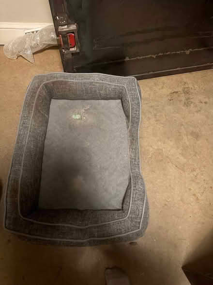 Photo of free Orthopaedic Dog Bed (Maida Vale W9) #1