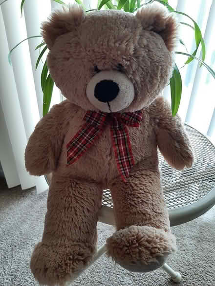 Photo of free Bear (F. Hills - 12/Orchard Lake) #1