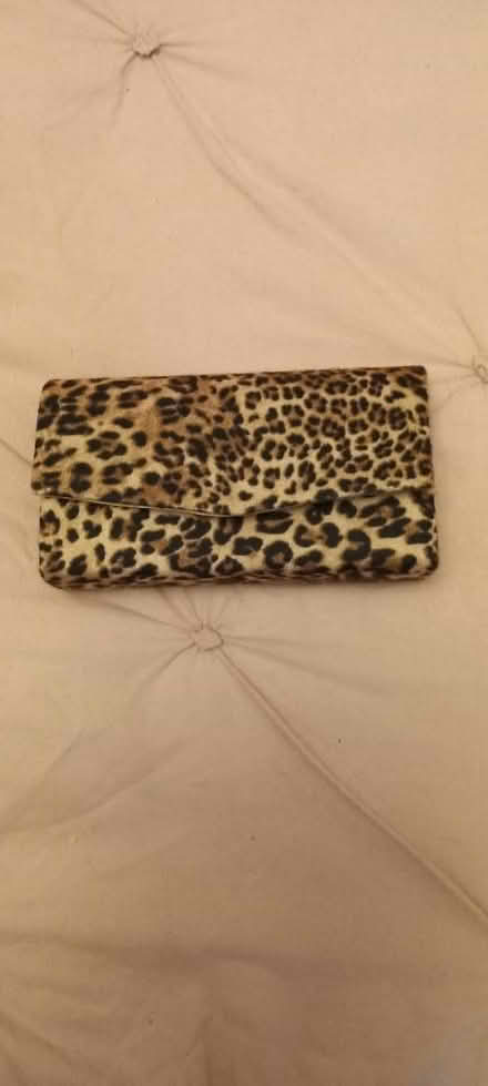 Photo of free Handbags (SS15 postcode. Steeple View) #1