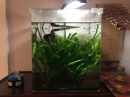 Photo of free Aquarium (Berkeley) #1