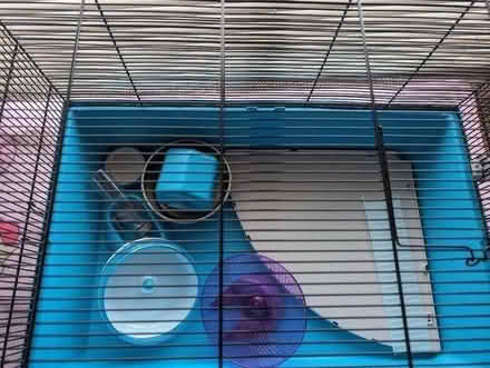 Photo of free Small hamster cage (CO2, Hythe) #2