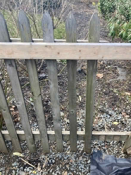 Photo of Fence pickets (Near Dal) #1