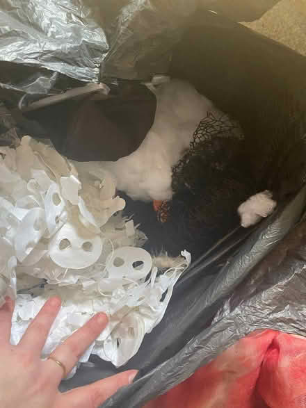 Photo of free Bag of Halloween decorations (Berwick Grange SY1) #3