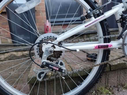 Photo of free Girl's Barracuda 24" Bicycle (Heelands MK13) #4