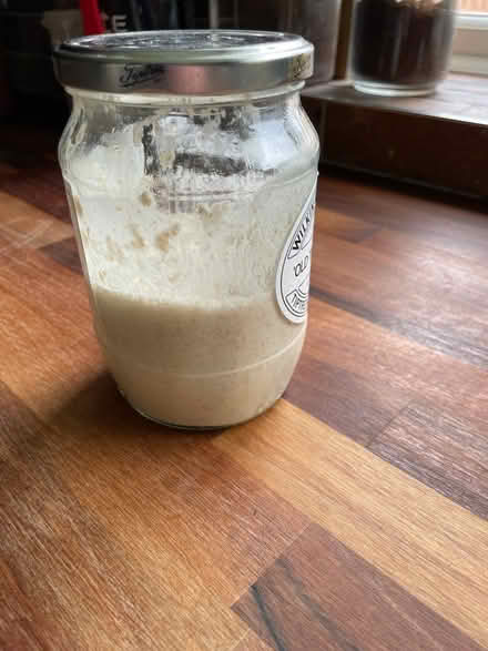 Photo of free Sourdough starter (SG1 old town) #1