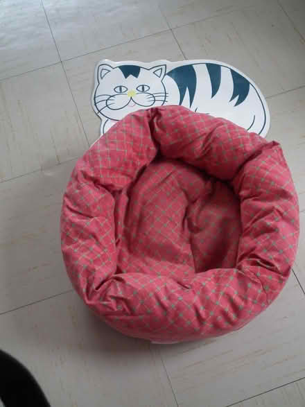 Photo of free Cat bed and feeding mat (Lower Earley RG6) #1