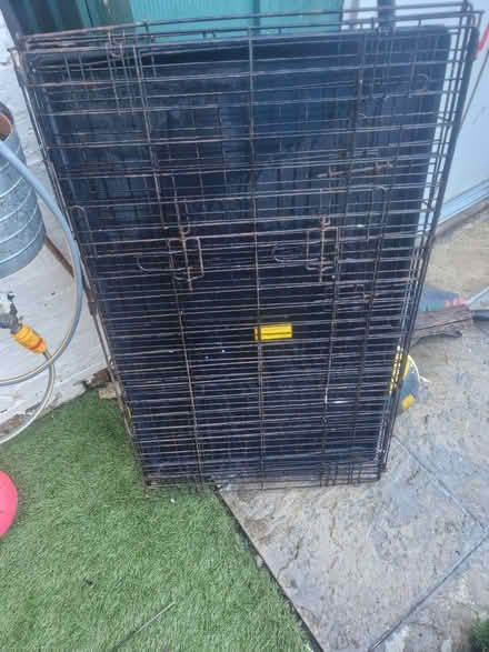 Photo of free Large dog crate (Wandsworth) #1