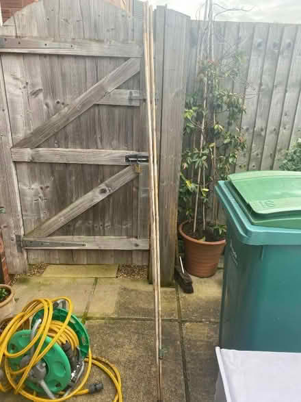 Photo of free 3 tall garden stakes plant support (Berwick Grange SY1) #1
