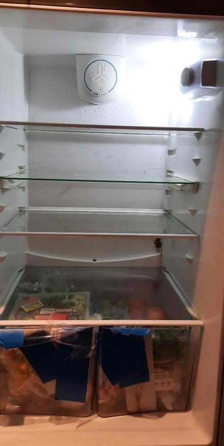 Photo of free Zanussi fridge freezer (Kenton HA3) #3