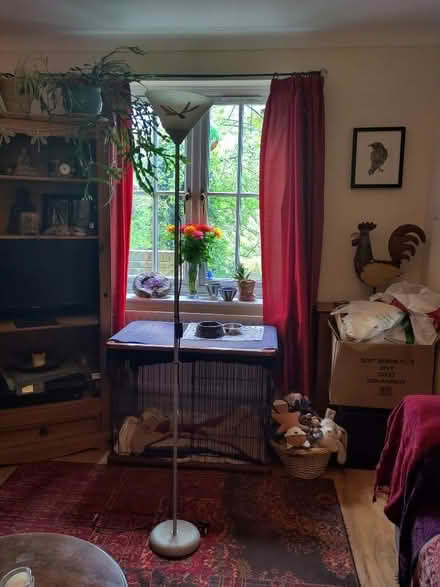 Photo of free Standard lamp. (The Plantation GL5) #3