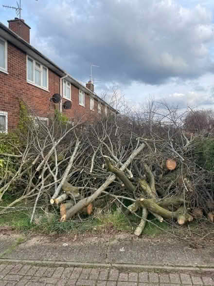 Photo of free Firewood (Haldens, Welwyn Garden City) #1
