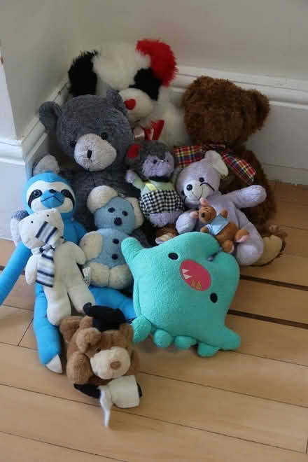 Photo of free Soft Toys (Kyverdale Road N16) #1