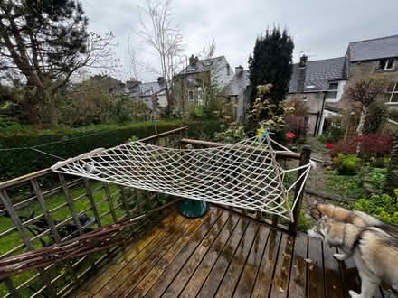 Photo of free Hammock (Freehold LA1) #1