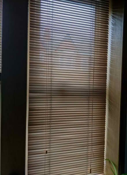 Photo of free 3 window blinds (Heaton NE6) #1