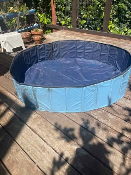 Photo of free Dog Pool (Belmont - Cipriani & Alameda) #1