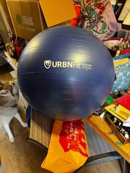 Photo of free Inflatable balancing ball (Freehold LA1) #1