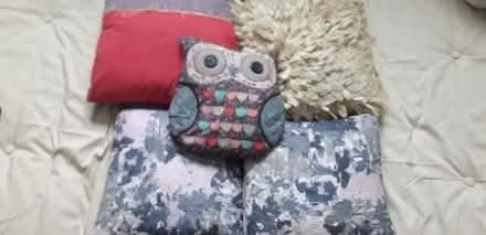 Photo of free Selection of cushions (Cogges OX28) #2