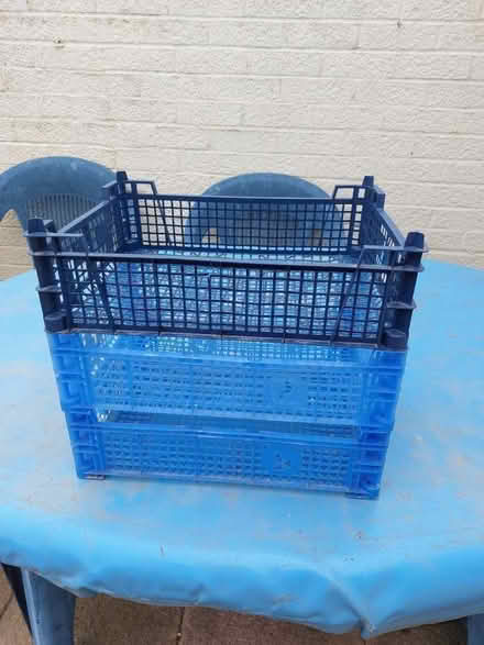 Photo of free stacking ‘mushroom’ trays (Seaford BN25) #1