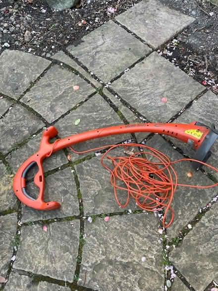 Photo of free Garden strimmer/trimmer (Ladywell SE13) #2