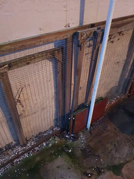 Photo of free Chicken wire on frame (S6 Walkley) #1