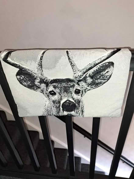 Photo of free Cushion cover x3 (Bulwell NG6) #1