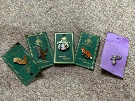 Photo of free Collection of Scottish pin badges (Edinburgh, Broughton, EH3) #1