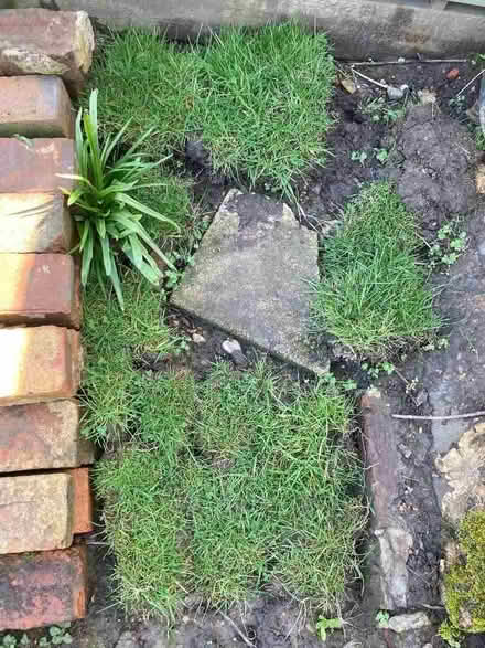 Photo of free Small turfs, just cut approx 22 sq.ft (Hastings TN35) #2