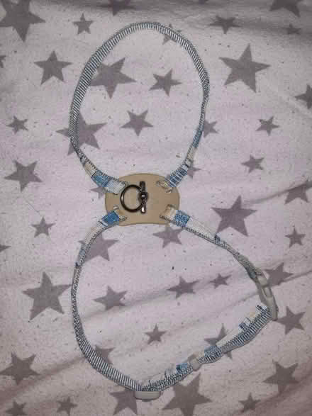 Photo of free Blue striped harness for small dog or cat (Newport Pagnell MK16) #1