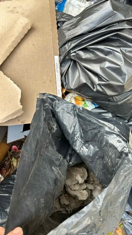 Photo of free Rubble (Okehampton, Devon) #2