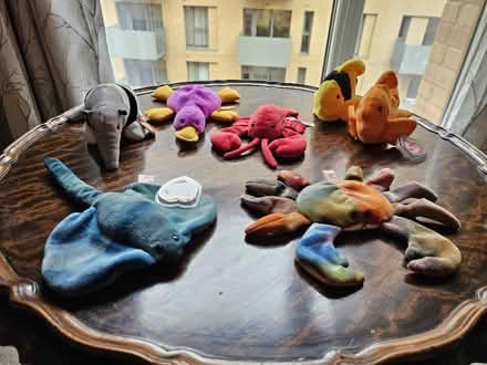 Photo of free Beanie Babies (West Hendon NW9) #1