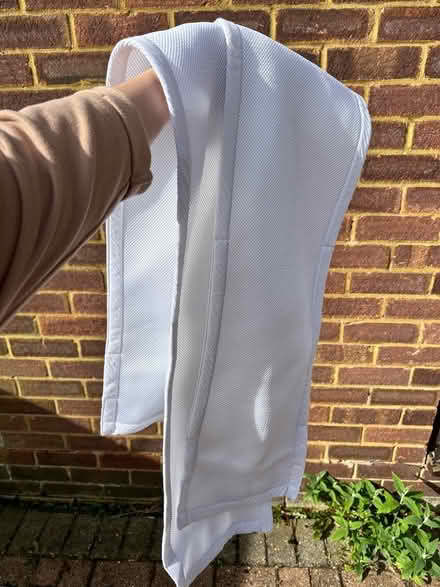 Photo of free Cot protectors (Coulsdon) #1