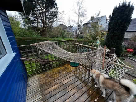Photo of free Hammock #2 (Freehold LA1) #1