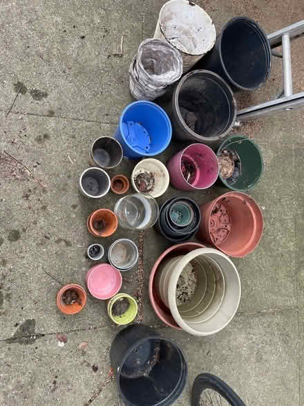 Photo of free Flowerpots (Upper NW) #2