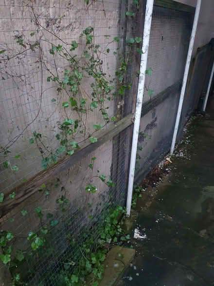 Photo of free Chicken wire on frame (S6 Walkley) #2