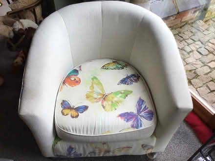 Photo of free Tub chair (LE67 Markfield) #1