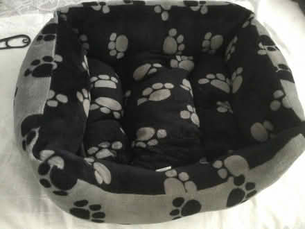 Photo of free Medium size dog bed (Ossett WF5) #1